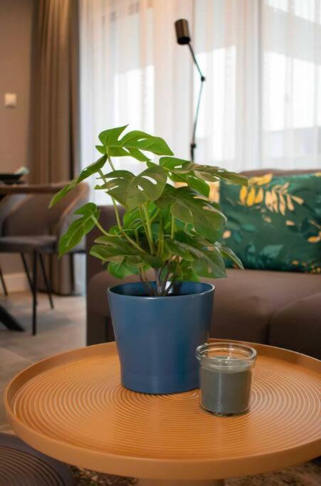 Luxury Cozy 2 Bdr Downtown Apt.2 Budapest Eksteriør billede